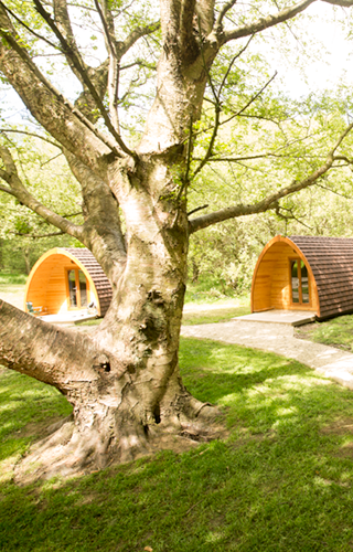 Camping pods in a beautuful setting at Woodhouse Farm, North Yorkshire
