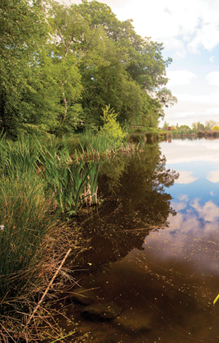 Woodhouse Farm Holiday Park Fishing Lake