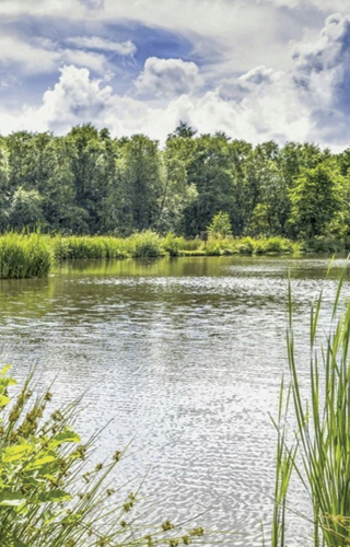 Fishing lake at Woodhouse Farm Holiday Park