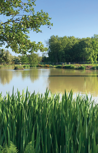 Woodhouse Farm Holiday Park Fishing Lake