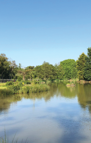 Fishing lake at Woodhouse Farm, North Yorkshire